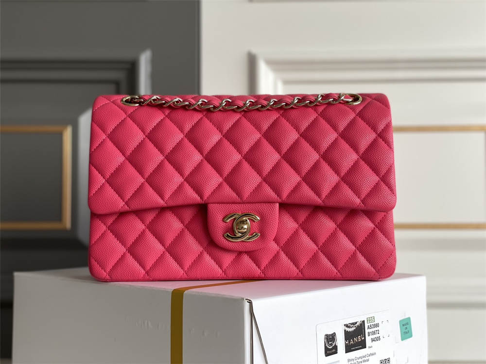 Chanel classic flap 25cm 2025 new 